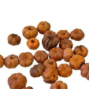 5 Dollhouse Miniature Halloween Fall Harvest Pumpkin Jack'o'lantern Thanksgiving